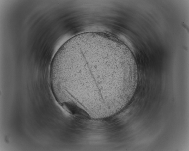 X0000096941103200803071000