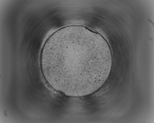 X0000096941104200803071000