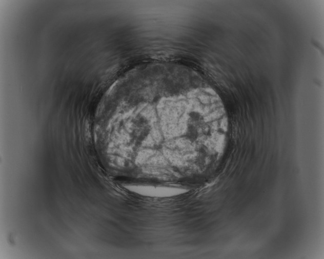 X0000096941106200803070959