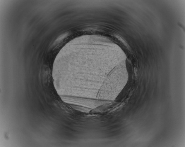 X0000096941111200803070959