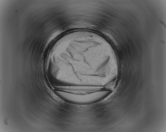 X0000096941114200803070959