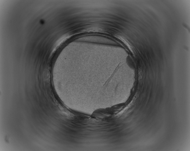 X0000096941115200803070959