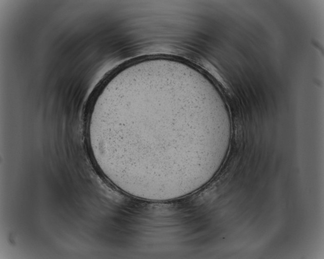 X0000096941116200803070959