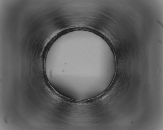 X0000096941118200803071000