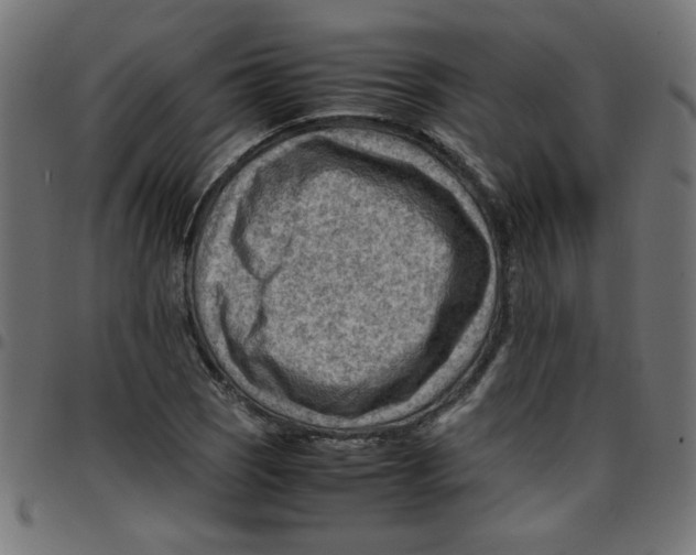 X0000096941121200803071000