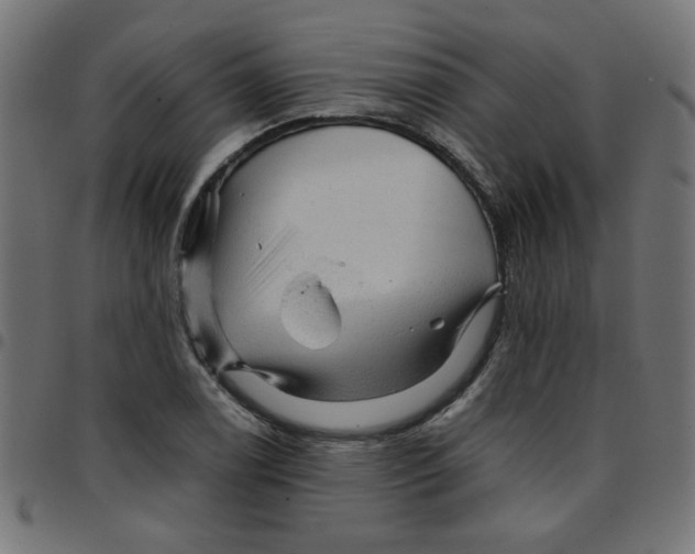 X0000096941122200803071000