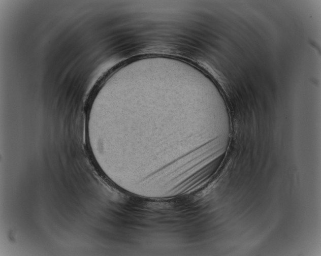 X0000096941123200803071000