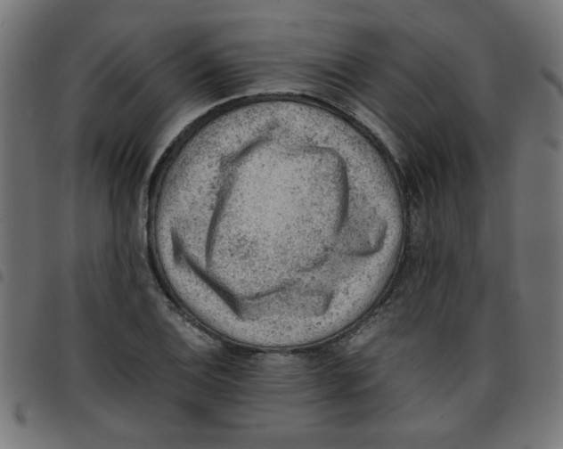 X0000096941124200803071000