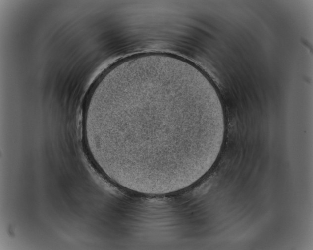 X0000096941126200803071000