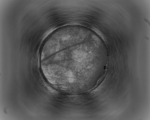 X0000096941127200803071000