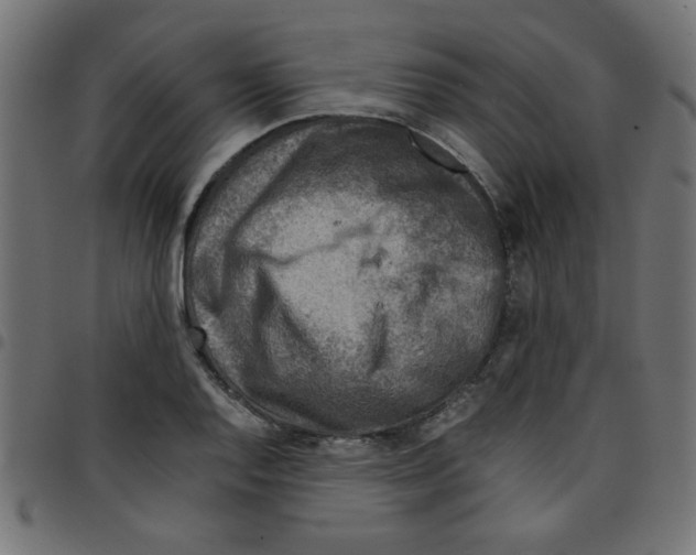 X0000096941128200803071000