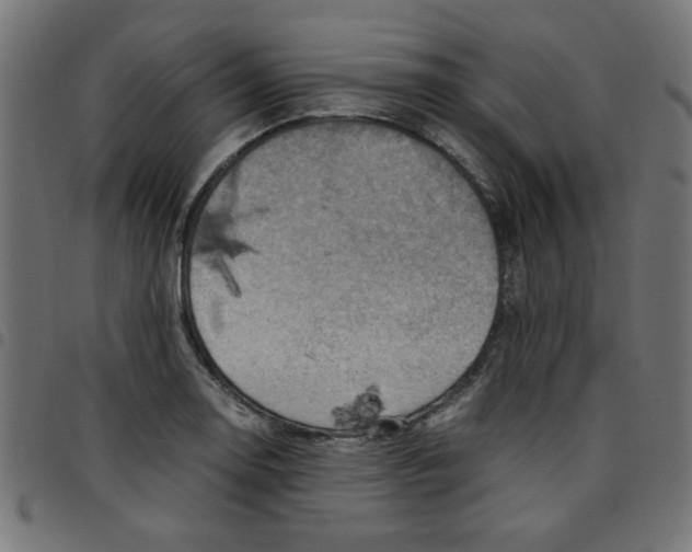 X0000096941130200803071000