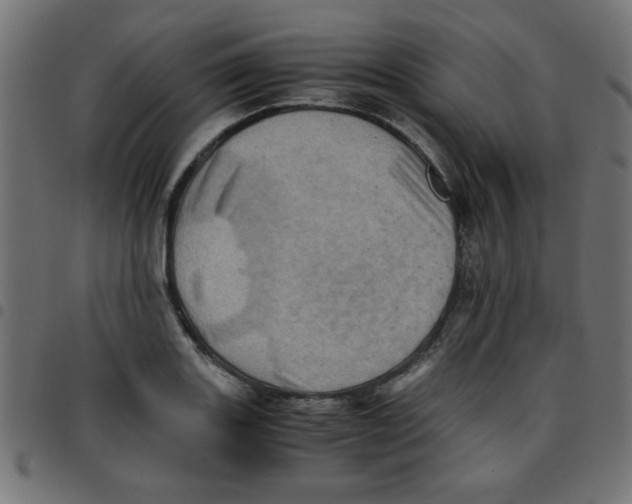 X0000096941131200803071000