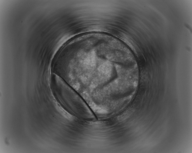 X0000096941132200803071000