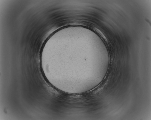 X0000096941133200803071000