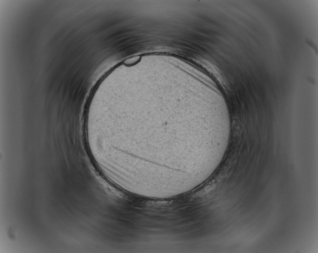 X0000096941135200803071000