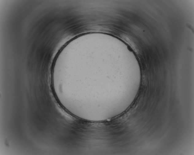 X0000096941136200803071000