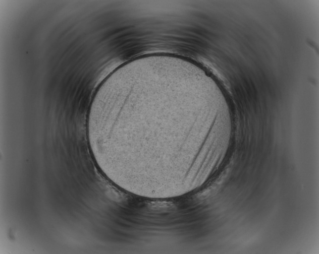 X0000096941137200803071000