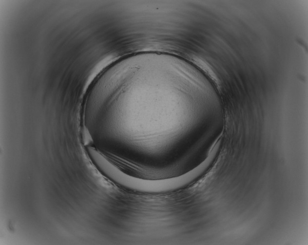 X0000096941138200803071000