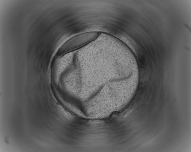 X0000096941140200803071000