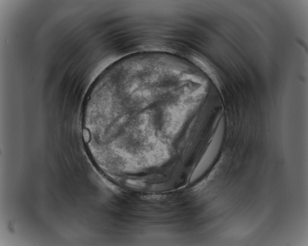 X0000096941141200803071000