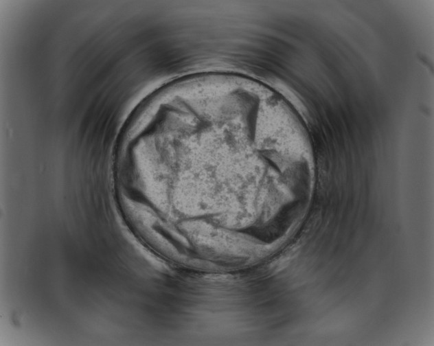 X0000096941142200803071000