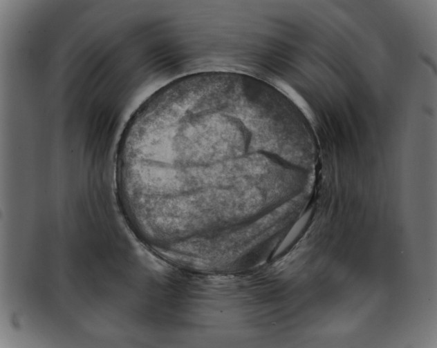 X0000096941144200803071000