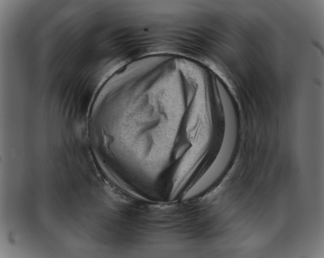 X0000096941145200803071000