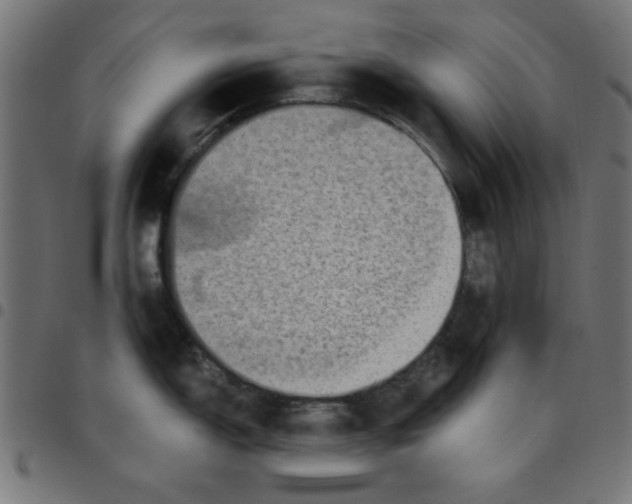 X0000096941150200803071000