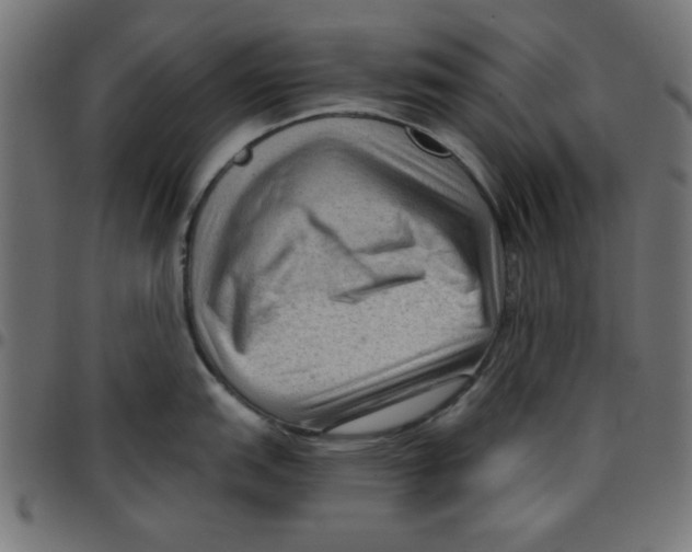 X0000096941151200803071000