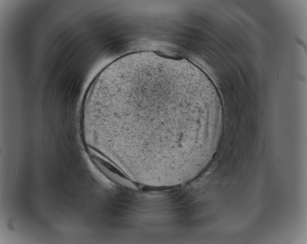 X0000096941152200803071000