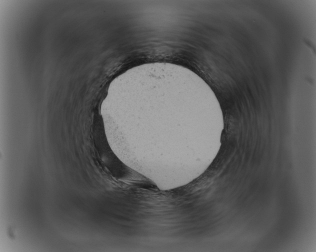 X0000096941153200803070959