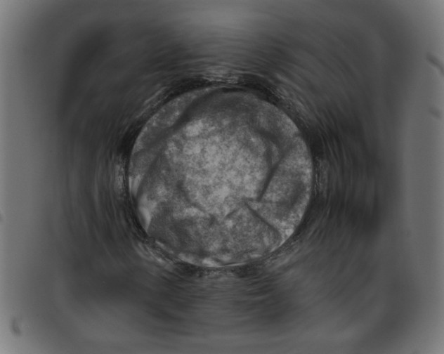 X0000096941154200803070959