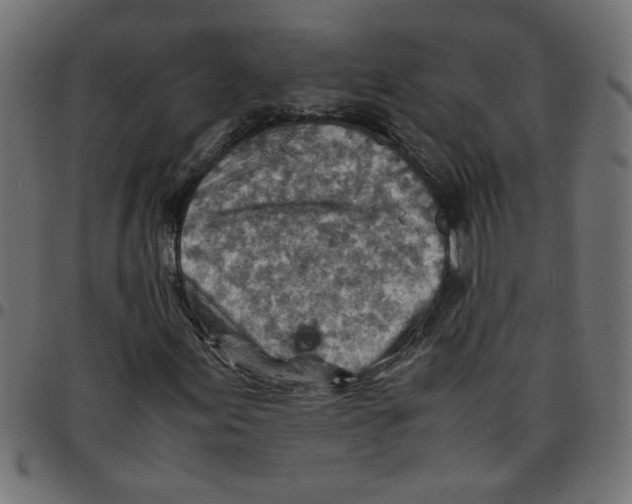 X0000096941155200803070959