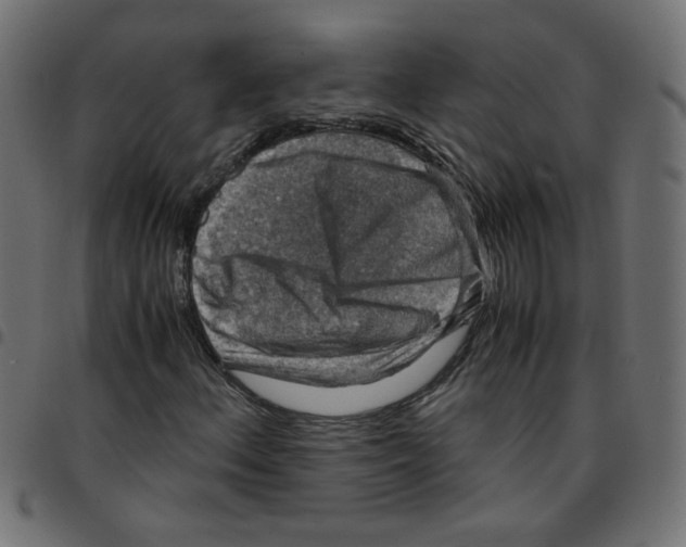 X0000096941156200803070959