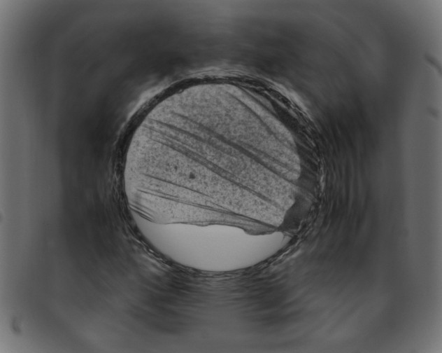 X0000096941160200803070959