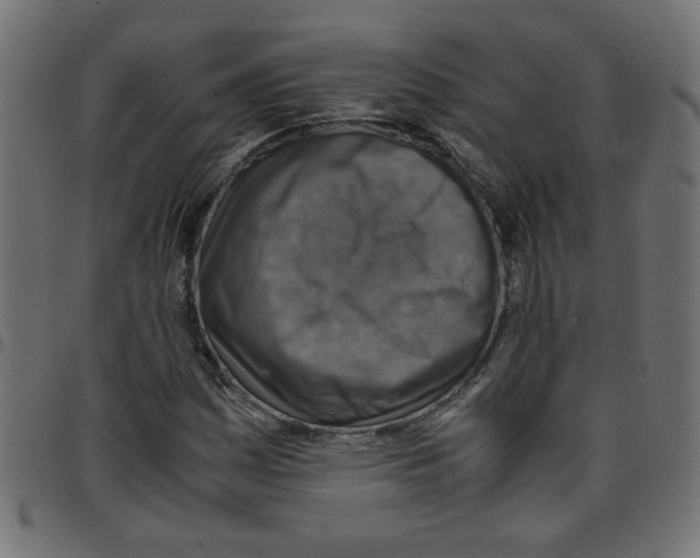 X0000096941161200803070959