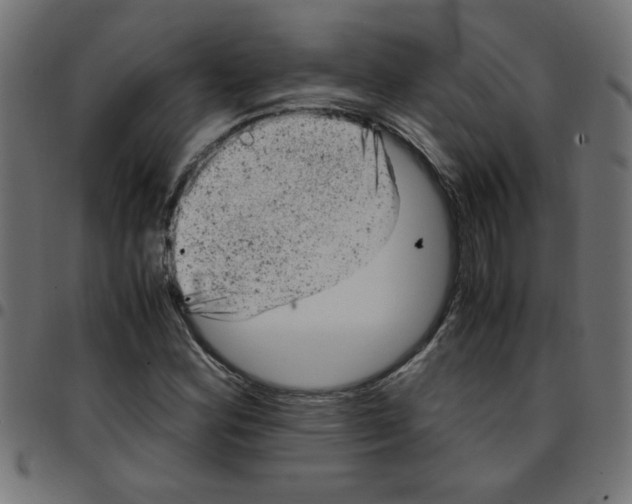 X0000096941164200803070959