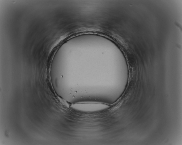 X0000096941165200803070959