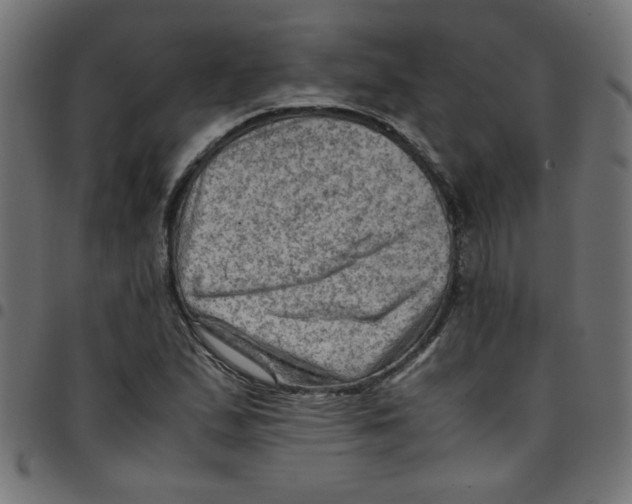 X0000096941167200803070959