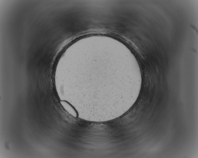 X0000096941168200803070959