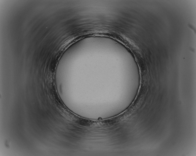 X0000096941169200803070959