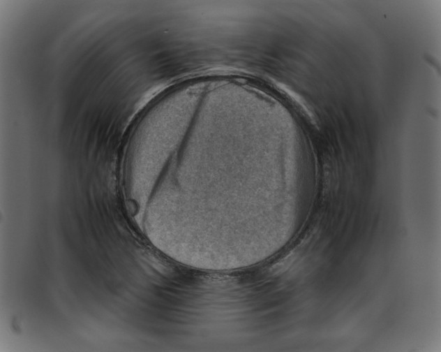 X0000096941170200803070959