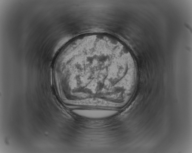 X0000096941171200803070959