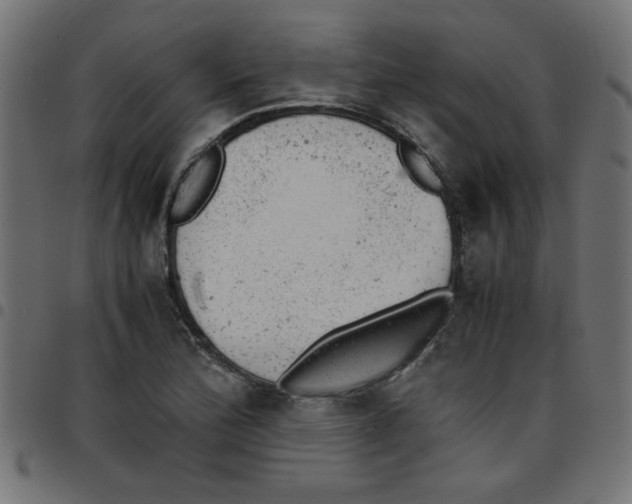 X0000096941172200803070959