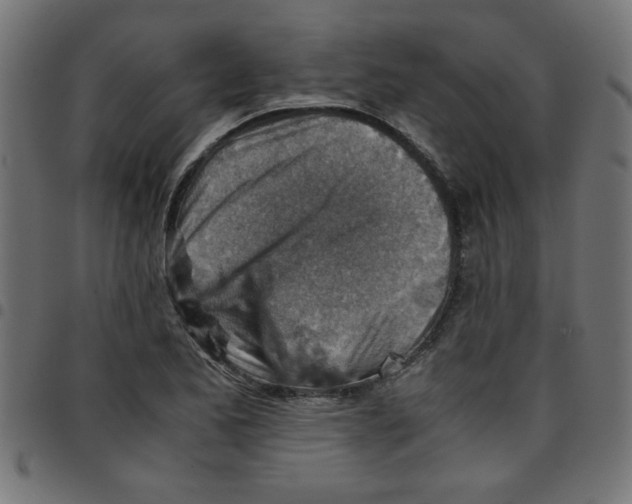 X0000096941173200803070959