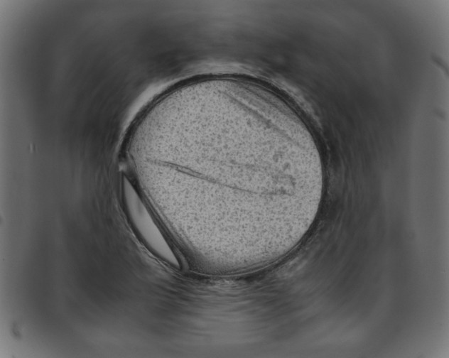 X0000096941175200803070959