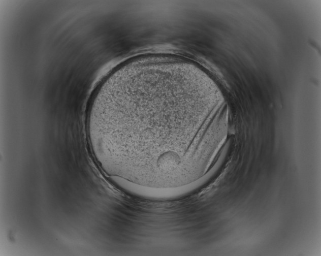 X0000096941176200803070959