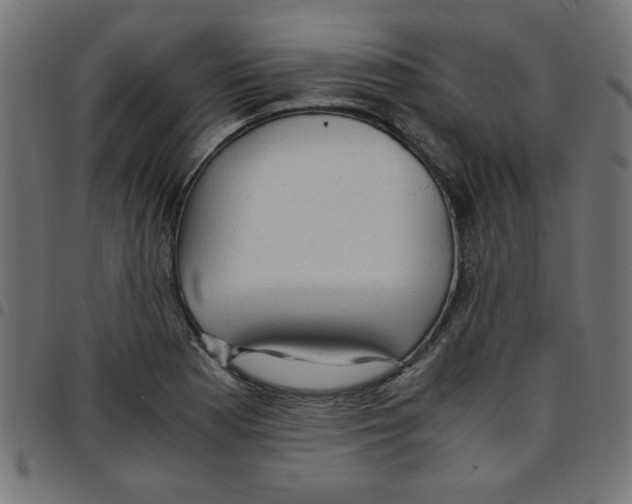 X0000096941177200803070959