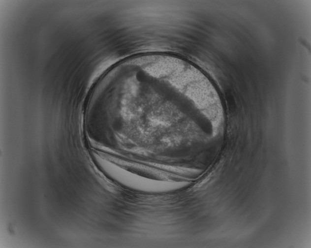 X0000096941179200803070959